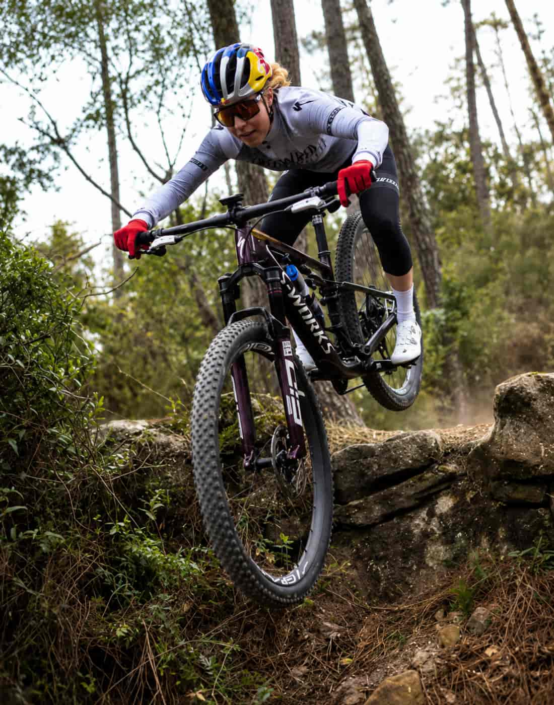 Specialized Bikes