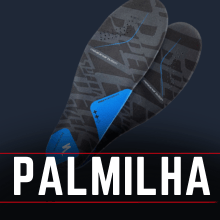 Palmilha