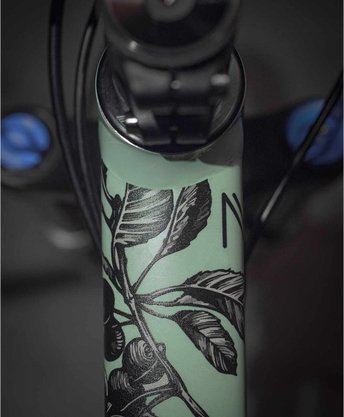 Adesivo Top Tube Nomad Café