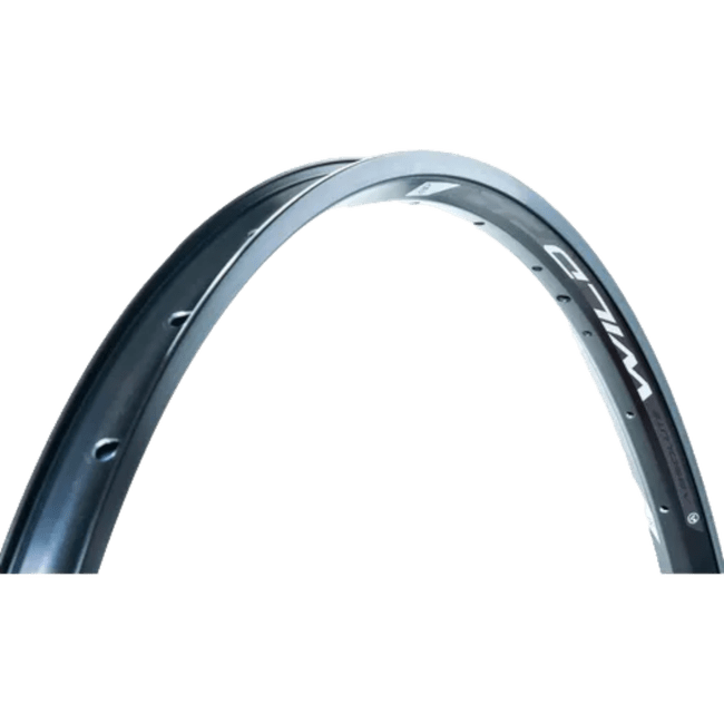 Aro Absolute Wild 29 x 32F Preto