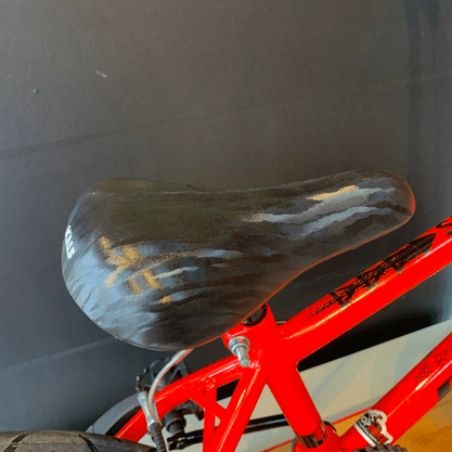 Bicicleta Pro-x Serie 1 Aro 20 Vermelho