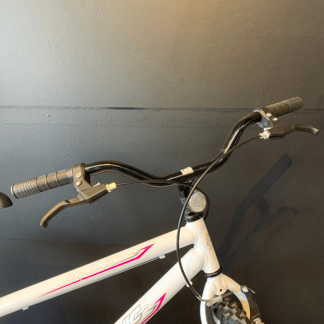 Bicicleta Dalannio Dalia Aro 24 Branco