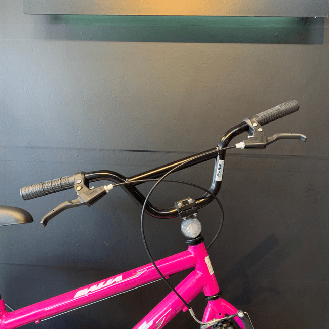 Bicicleta Dalannio Dalia Aro 24 Rosa