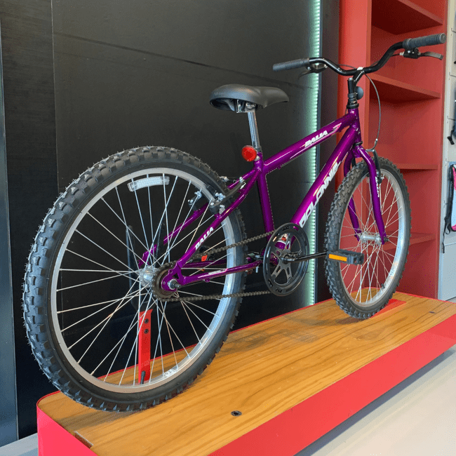 Bicicleta Dalannio Dalia Aro 24 Violeta