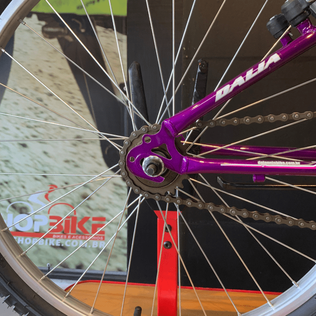 Bicicleta Dalannio Dalia Aro 24 Violeta