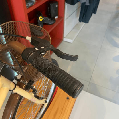 Bicicleta Dalannio Susi Retro Aro 24 Bege