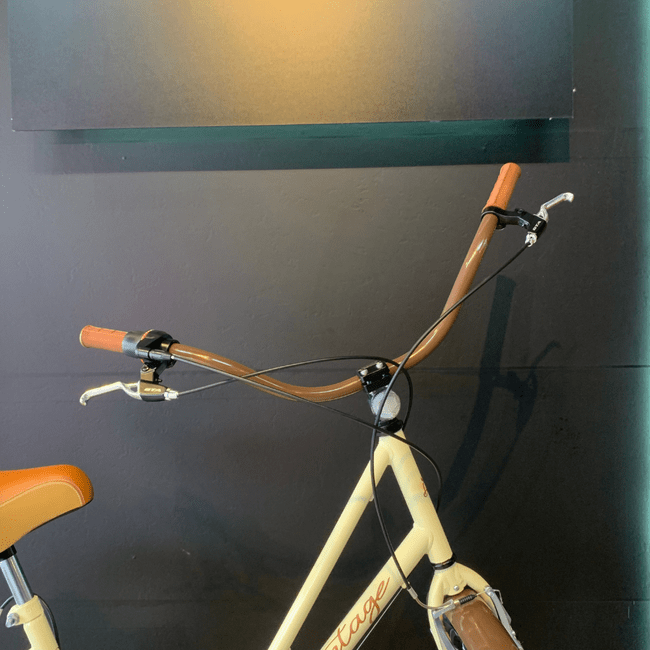 Bicicleta Dalannio Vintage Retro Aro 26 6v Feminina Bege e Marrom
