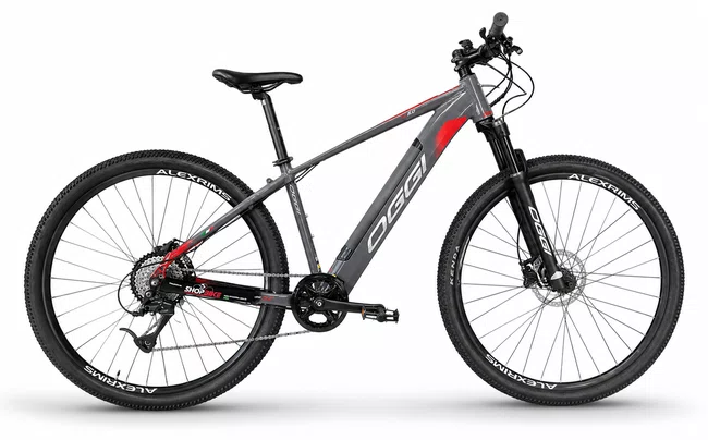 Bicicleta a29 oggi big wheel 8.0 8v cinza/vermelho