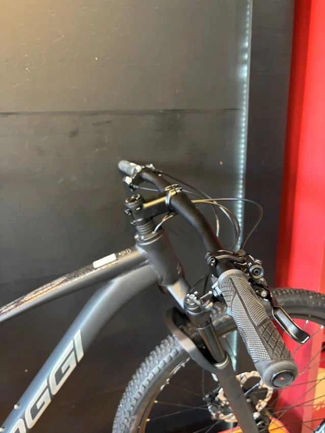 Bicicleta a29 oggi bw 7.6 2026 shimano xt 12v t-15 preto/prata