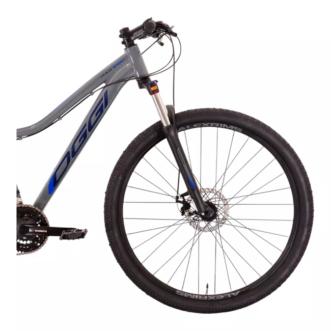 Bicicleta Oggi Float Sport Tourney 21V Aro 29  Grafite e Azul