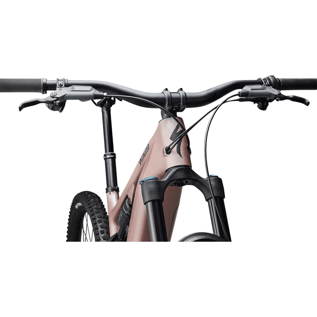 Bicicleta Specialized Turbo Levo 4 Comp Aro 29 GX 12V Champagne e Preto