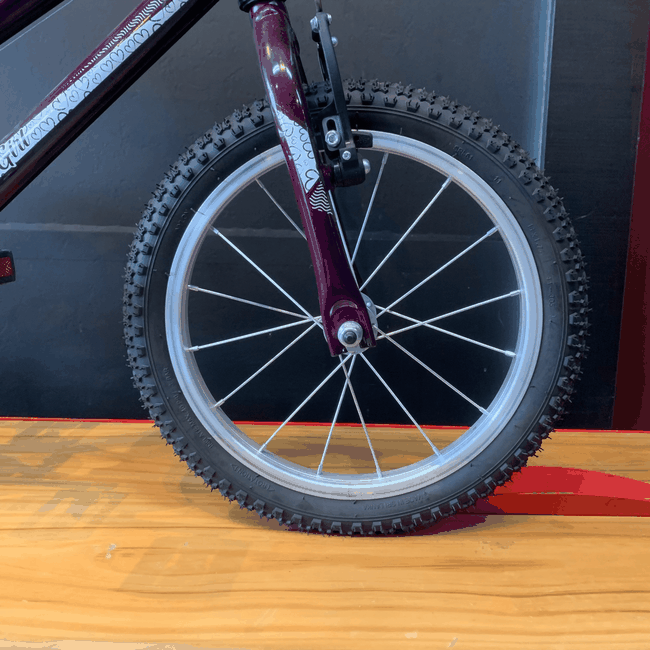 Bicicleta Oroch Aro 16 Roxo