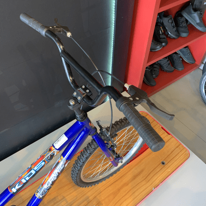 Bicicleta Dalannio Boy Aro 20 Azul