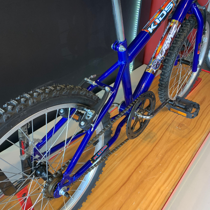 Bicicleta Dalannio Boy Aro 20 Azul