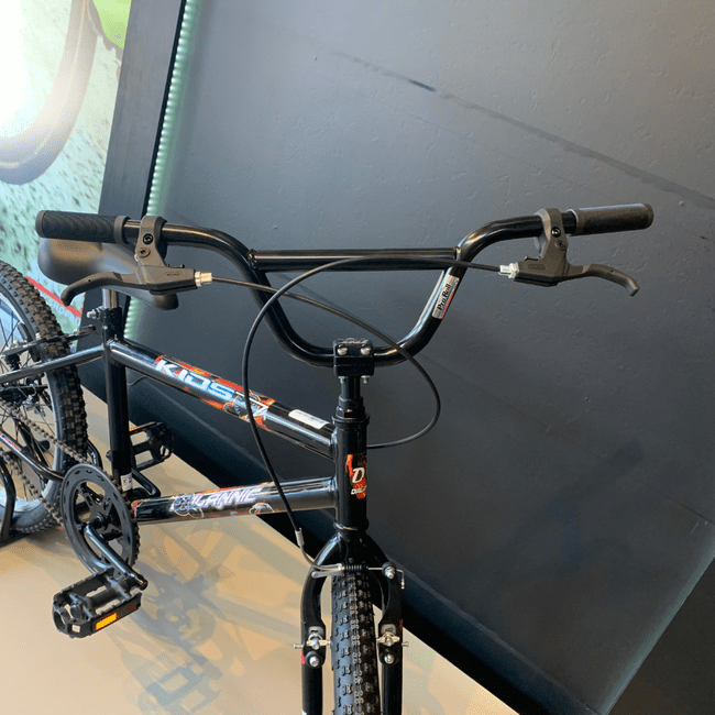 Bicicleta Dalannio Boy Aro 20 Preto