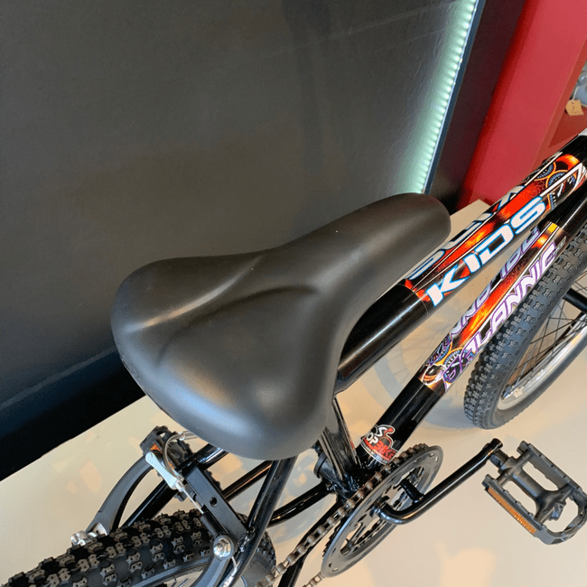 Bicicleta Dalannio Boy Aro 20 Preto
