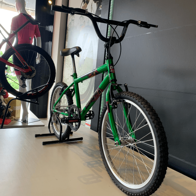 Bicicleta Dalannio Boy Aro 20 Verde