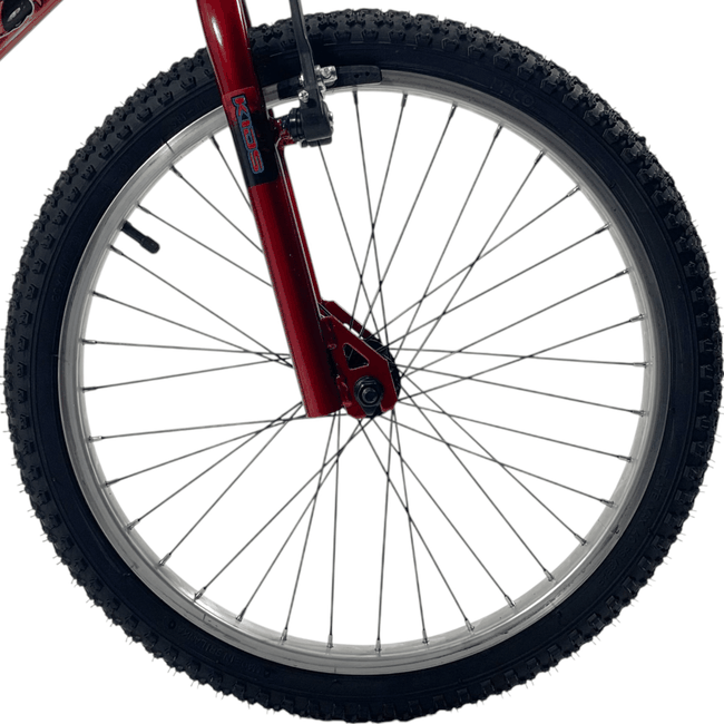 Bicicleta Dalannio FreeStyle Boy Aro 20 Vermelhaㅤㅤㅤㅤㅤㅤㅤ