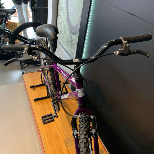 Bicicleta Dalannio Life Aro 24 Violeta