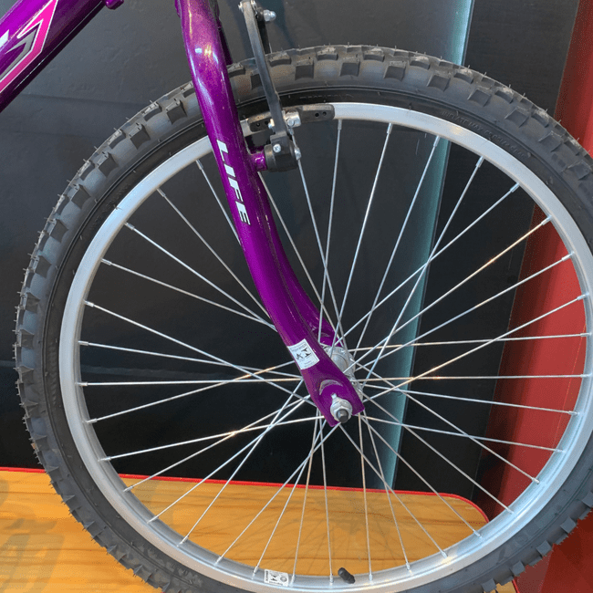 Bicicleta Dalannio Life Aro 24 Violeta