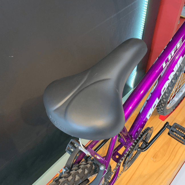 Bicicleta Dalannio Life Aro 24 Violeta