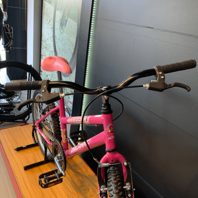 Bicicleta Dalannio Sissa Aro 20 Pinkㅤㅤㅤㅤㅤㅤㅤㅤㅤㅤㅤㅤㅤㅤㅤㅤㅤㅤㅤ