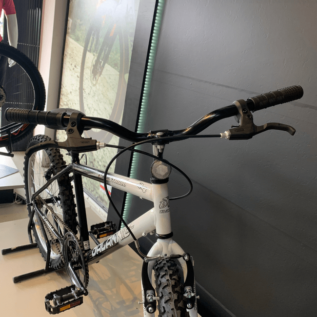 Bicicleta Dalannio Stroll Aro 24 Preto e Branco