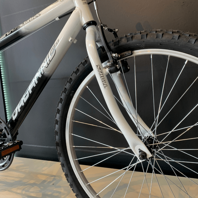 Bicicleta Dalannio Stroll Aro 24 Preto e Branco