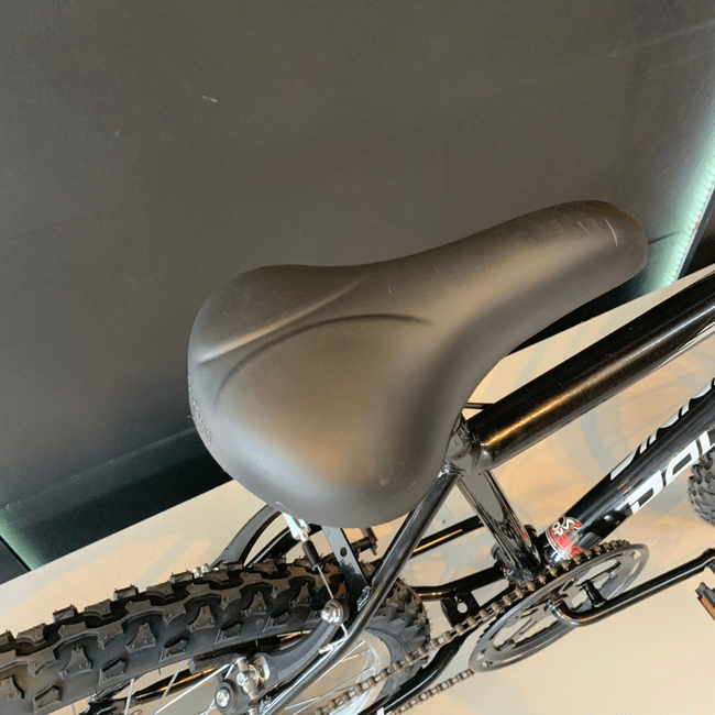 Bicicleta Dalannio Stroll Aro 24 Preto e Branco