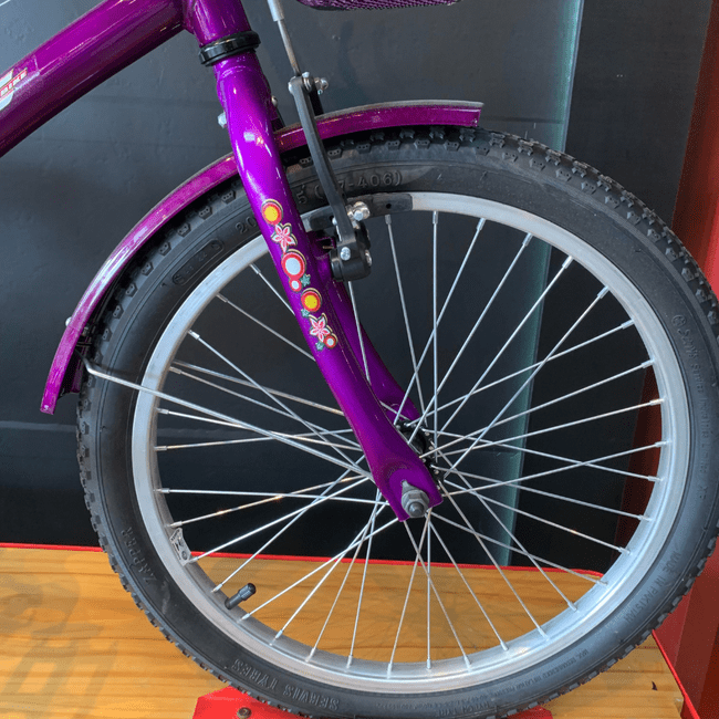 Bicicleta Dalannio Susi Aro 20 Violetaㅤㅤㅤㅤㅤㅤㅤㅤㅤㅤㅤㅤㅤㅤㅤㅤㅤ