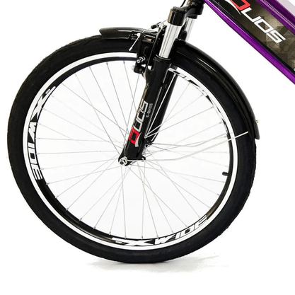 Bicicleta Elétrica Duos Confort 800 Watts Violeta