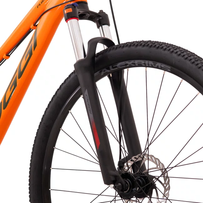 Bicicleta Float Sport  Aro29 Tourney 21v Laranja e Cinza e Marrom