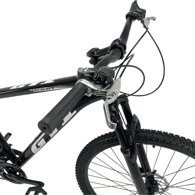 Bicicleta GTI Roma Aro 29 Shimano 21v Preto e Brancoㅤㅤㅤ