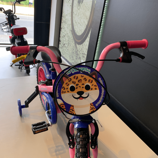 Bicicleta Nathor Fe Dengosa Aro 16 Rosa e Azul