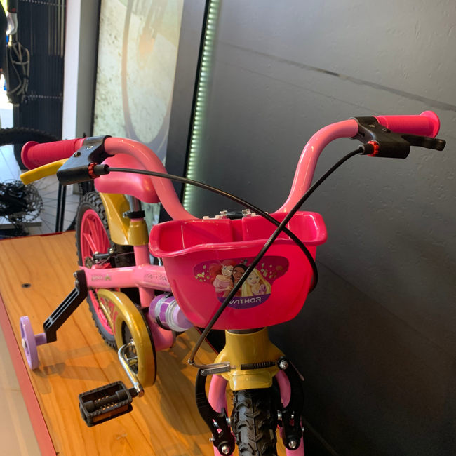 Bicicleta Nathor Princesas Aro 16 Rosa