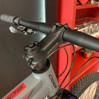 Bicicleta Oggi Hacker HDS Aro 29 Tourney 24v Grafite e Vermelho e Preto