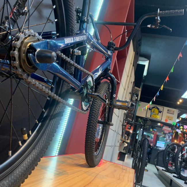 Bicicleta Pro-X Série Aro 20 Camaleão