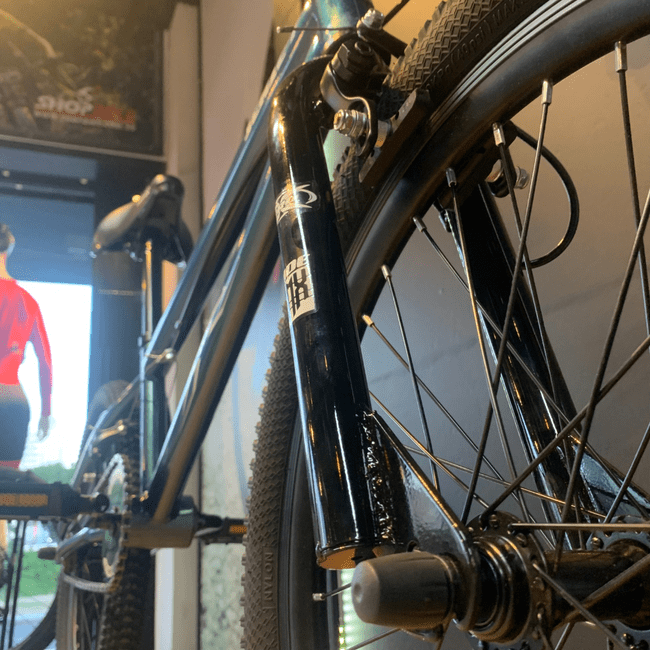 Bicicleta Pro-X Série Aro 20 Camaleão