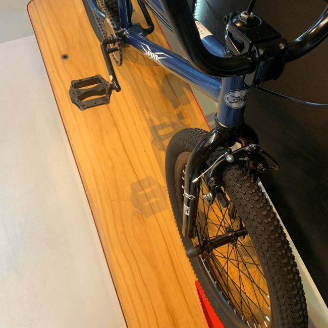 Bicicleta Pro-X Série Aro 20 Camaleão