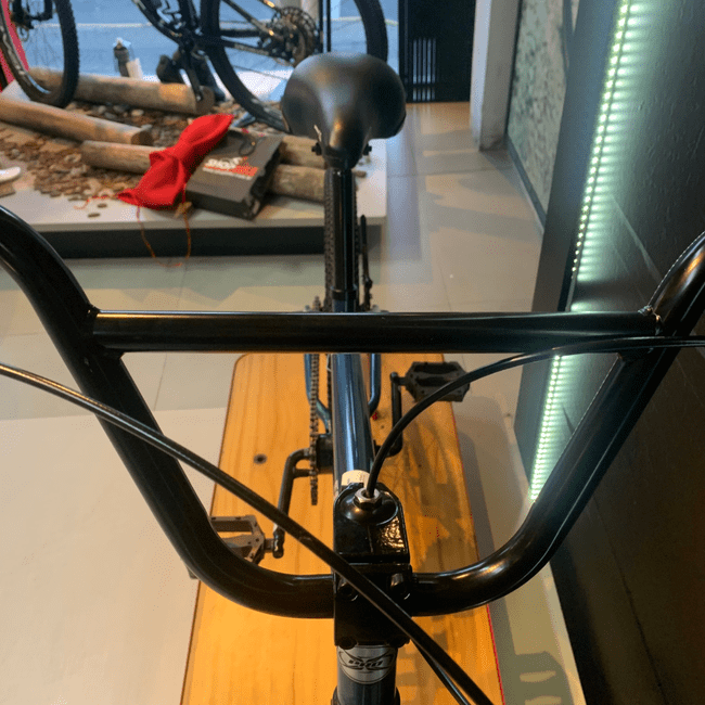 Bicicleta Pro-X Série Aro 20 Camaleão