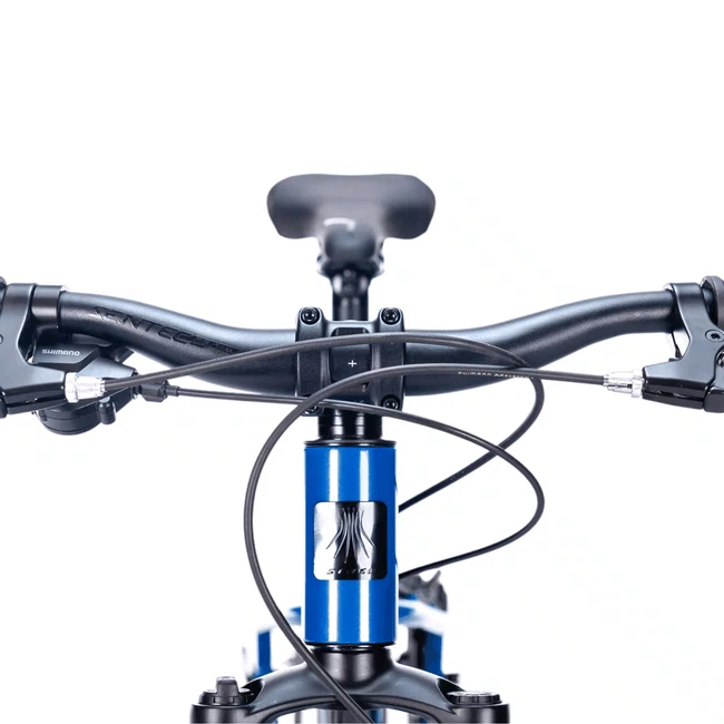 Bicicleta Sense Gron Aro 20 Evo Acera 8v Marrom Azulㅤㅤㅤ