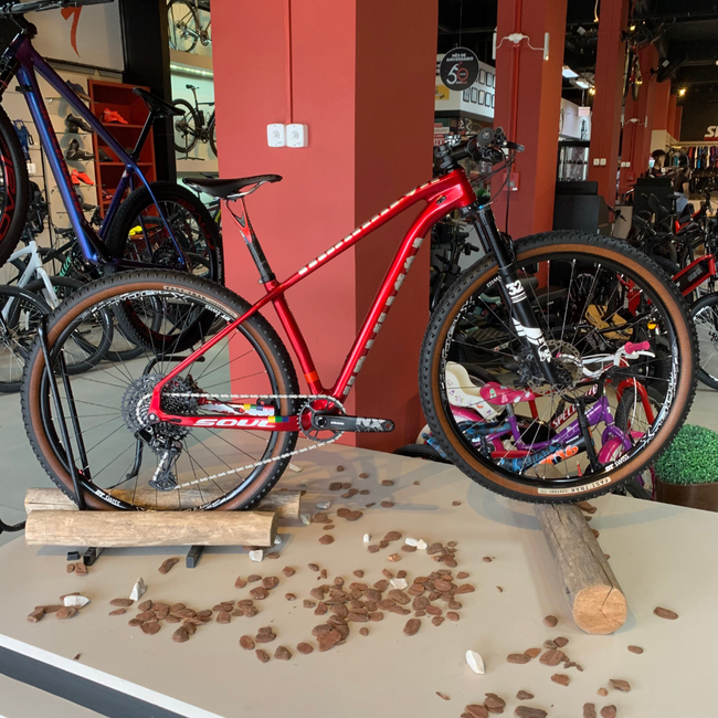 Bicicleta Soul Krakatoa Aro 29 NX 12V Vermelha e Prata - Seminova