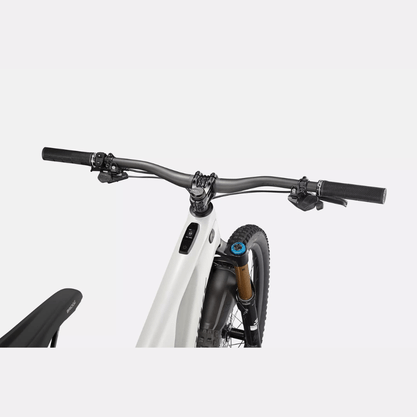 Bicicleta Specialized S-Works Turbo Levo Aro 29 XX1 12v Branco e Cromado e Prata