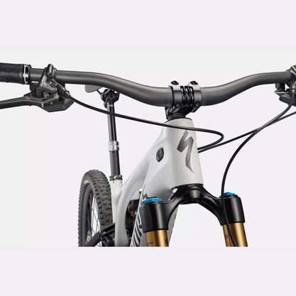 Bicicleta Specialized S-Works Turbo Levo Aro 29 XX1 12v Branco e Cromado e Prata