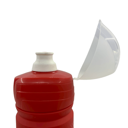 Caramanhola Coca Cola 550ml Vermelha