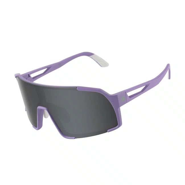 Oculos Elleven El655 Fotocromatico Roxo