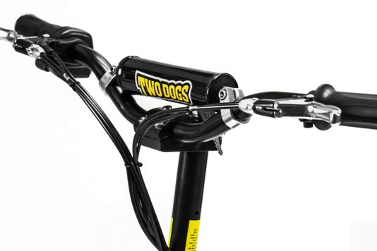 Patinete Elétrico Two Dogs 800w 36v Preto
