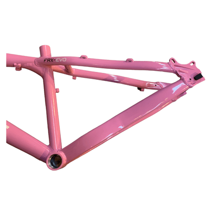 Quadro Gios FRX-EVO 13.5 Rosa e Branco e Preto