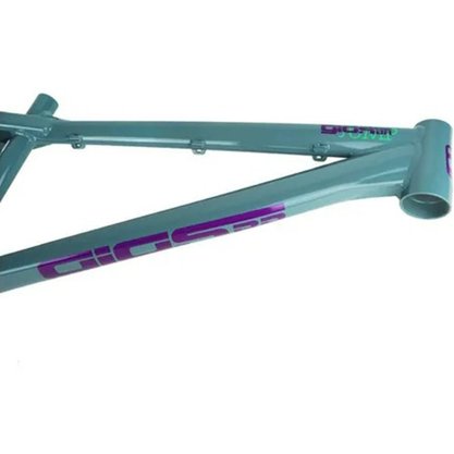 Quadro Aro 26/27,5 Gios Dirt Jump 2020 Cinza Ad. Verde/roxo