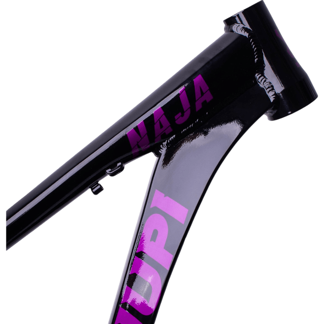 Quadro Hupi Naja V9 Horizontal Preto e Roxo e Branco